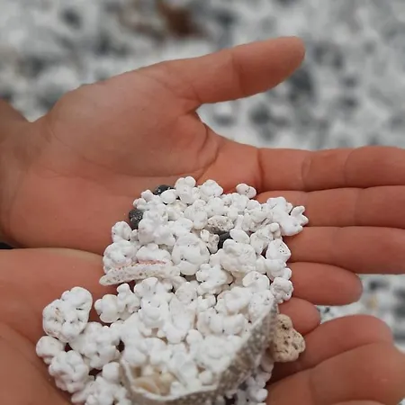 La Cueva Del Bounty *