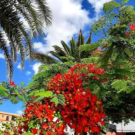 La Cueva Del Bounty *
