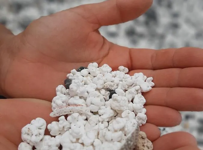 La Cueva Del Bounty *