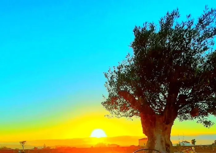 아파트 La Cueva Del Bounty