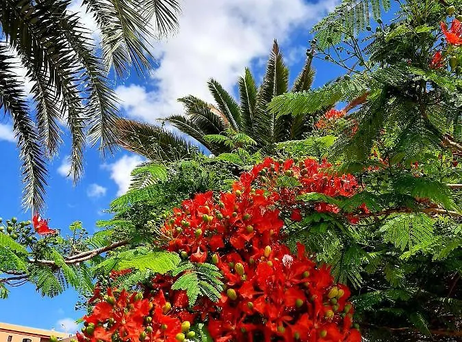 La Cueva Del Bounty *